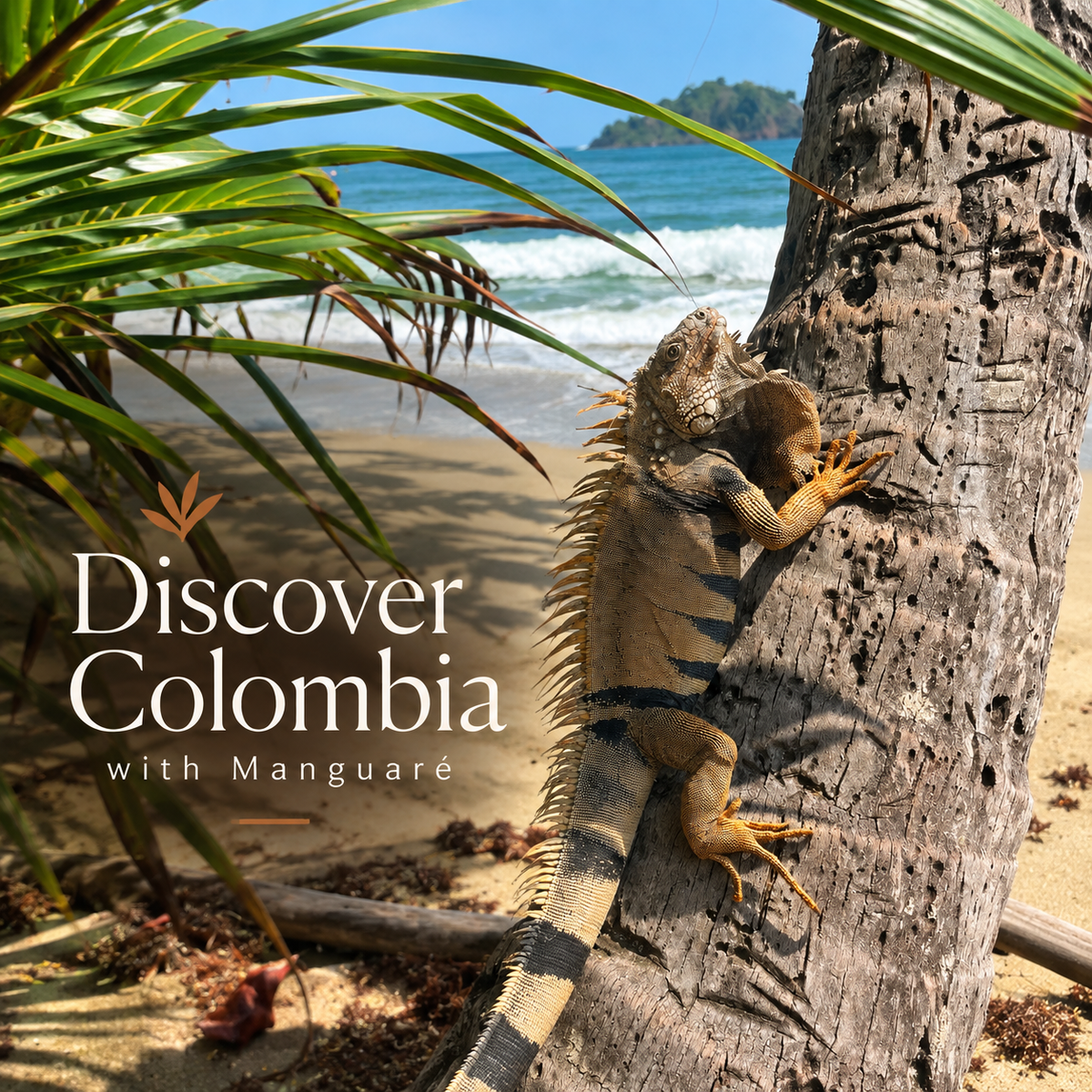 Discover Colombia with Manguaré