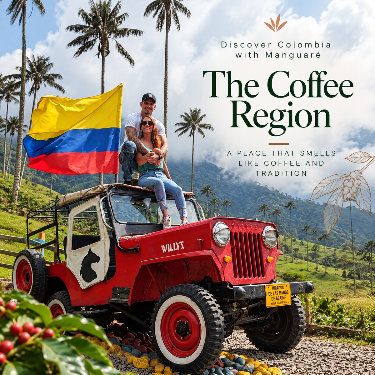 The Coffee Region: A Place That Smells Like Coffee and Tradition