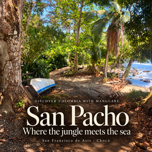 San Pacho: Where the Jungle Meets the Sea!  Discover Colombia with Manguaré